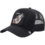 Casquette Goorin Bros  101-0389