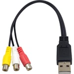 Câble Rca Vers Usb, Câble Usb Vers Rca, Usb A 2.0 Mâle Vers 3 Rca Femelles Pour Pc, Mac, Av, Hdd Et Dvr 25 Cm