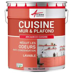 Peinture cuisine mur et plafond lessivable, anti odeur et anti condensation : Arcadéco Cuisine  10 L - Rose poudré RAL 010 70 15