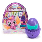 HATCHIMALS Alive, Neon Rainbow, Set de 1 Figurine Surprise Blind Box (Les Styles Peuvent Varier), œuf Qui révèle la Couleur