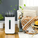 20L/Day 6.5L Dehumidifier with Air Purifier HEPA Filter, 24H Timer, White