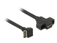 Delock intern-til-ekstern USB-kabel - 20-pins USB 3.0-plugg til 24 pin USB-C - 45 cm