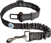 All For Dogs All For Dogs Safety Belt