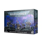 Warhammer+40k+-+Grey+Knights+Paladins+%2F+Terminators+Squad