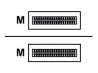 Hpe Aruba Networking X241 100g Qsfp28 5m Infiniband Och Fiberoptisk Kabel 3 M 3m Qsfp28 Qsfp28