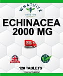 ECHINACEA 2000 MG 120 TABLETS Purpurea Extract Cold and Flu Immune System