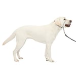 PetSafe Gentle Leader Licol anti-traction pour chien – La solution ultime pour tirer – Redirige la traction de votre chien pour des promenades plus faciles – Vous aide à reprendre le contrôle – Taille