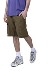 THE NORTH FACE Anticline Cargo Shorts Military Olive 38