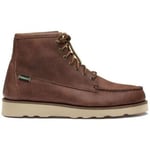 Chaussures bateau Sebago  Baskets Tala Mid Homme Brown