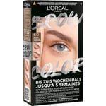 L’Oréal Paris Silmämeikki Kulmakarvat Brow Colour kulmaväri 6.0 Vaaleanruskea 15 ml (1 083,33 € / 1 l)