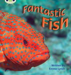 Bug Club Phonics Non Fiction Year 1 Phase 4 Set 12 Fantastic Fish