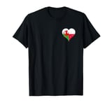 Polish Welsh? A Small Flag in Heart for Poland Wales T-Shirt