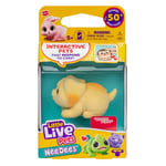 Little Live Pets NeeDees Woofee Puppy Brand New