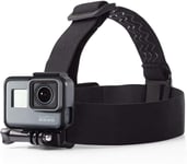 Amazon Basics Head Strap Camera Mount for GoPro, Black