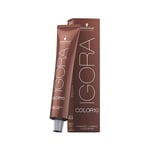 Teinture permanente Igora Color10 Schwarzkopf Igora 6-65 [60 ml]