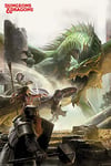 Dungeons & Dragons Adventure Poster de jeu vidéo 61 x 91,5 cm