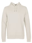 Colorful Standard Organic Cotton Hooded Sweat - Ivory White Colour: Ivory White, Size: X Large