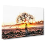 Big Box Art Sunlight Through The Oak Tree in Abstract Canvas Wall Art Framed Picture Print, 30 x 20 Inch (76 x 50 cm), White, Brown, Orange, Brown, Yellow