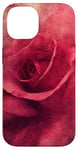 Coque pour iPhone 14 Rose grunge douce beauté douce art floral vintage