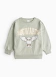 Harry Potter Hogwarts Hedwig Printed Sweatshirt 6 years Green Years female