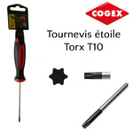 Tournevis étoile torx T10