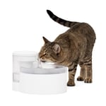 PetSafe Outlast Pumpless Water Fountain, 1.7 L, Small Dog and Cat Water Fountain, Dishwasher Safe, Easy Assembly and Cleaning, Water Filter Included