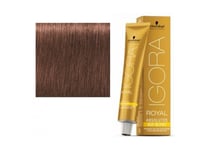 Schwarzkopf Professional, Igora Royal, Permanent Hair Dye, 6-580 Golden Red Chestnut, 60 Ml