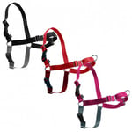 Petsafe Easy Walk Dog Harness & Lead Non-pull Collar Xs Small Medium Large Xl