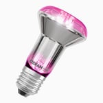 LEDVANCE LED Växtlampa E27 Filament R63 140lm 7,5W