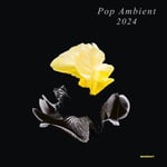 Diverse Artister  Pop Ambient 2024  CD