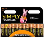 AA Duracell Batteries - 12 Pack