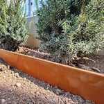 RoRi Bordure de pelouse en acier Cortenstahl 10 m - Dessus arrondi - 10 x 1 m - Pliage des bordures de pelouse - DIY Lawn Edging - Clôture pour vergers Marron