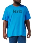 Levi's Men's Ss Relaxed Fit Tee T-Shirt, Cloisonne Poster, S