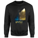 Harry Potter Chamber Of Secrets - Dobby Sweatshirt - Black - XS - Black