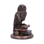 Nemesis Now An Owl's Tale Bronze Figurine Magic Fantasy Witch Spells Boxed Gift