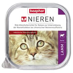 beaphar - Régime rénal pour Chats - Aliment diététique - Teneur réduite en phosphore - avec Huile de Saumon précieuse - pour Soutenir la Fonction rénale - Nourriture Douce pour Les gourmets - 1 x 100