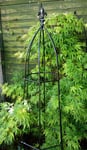 Black Powder coated Gothic Obelisk 5ft