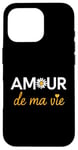 iPhone 16 Pro Amour de ma Vie Love of My Life French Heart Case