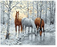 Colour Talk Paint By Numbers For Adults And Kids DIY Oil Painting Kit Beginner- Three horses drinking water in the snowKits on Canvas Acrylic Wall Decoration -30x40cm