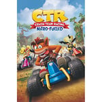 GBEye - CRASH TEAM RACING Poster Jaquette