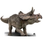 Triceratops Baby Official Jurassic World Cardboard Cutout / Standee / Standup