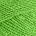 Stylecraft 9041821 Pelote de laine Vert gazon 1821 100 g