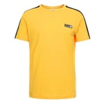 Puma Mens Spezial Tee Casual Branded T-Shirt Yellow 576823 44 S - Size Small