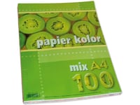 Xerox Papper A4 80G Mix Färger 100 Ark