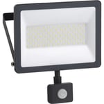 Schneider Electric Mureva LED flomlys med sensor 50W, 6500K