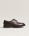 Tricker's Bourton Country Brogues Espresso Calf