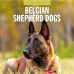 Belgian Shepherd Dogs 2025 Square Wall Calendar (häftad, eng)