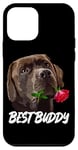 Coque pour iPhone 12 mini Chocolate Lab Best Buddy Chien pour femme Maman Mère