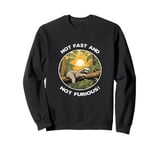 Fun Happy Lazy Sloth Not Fast And Not Furious Gift Graphic Sweatshirt