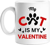 Valentines Day Romantic Mug Gift for Special Someone (My Cat is My Valentine)